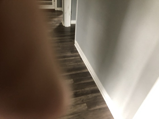 Finished hallway with wood floors and French door — AttarCo Homes roofing & remodeling project, Houston TX
